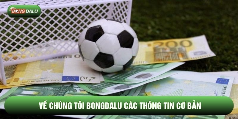 Về chúng tôi Bongdalu các thông tin cơ bản Về chúng tôi Bongdalu các thông tin cơ bản